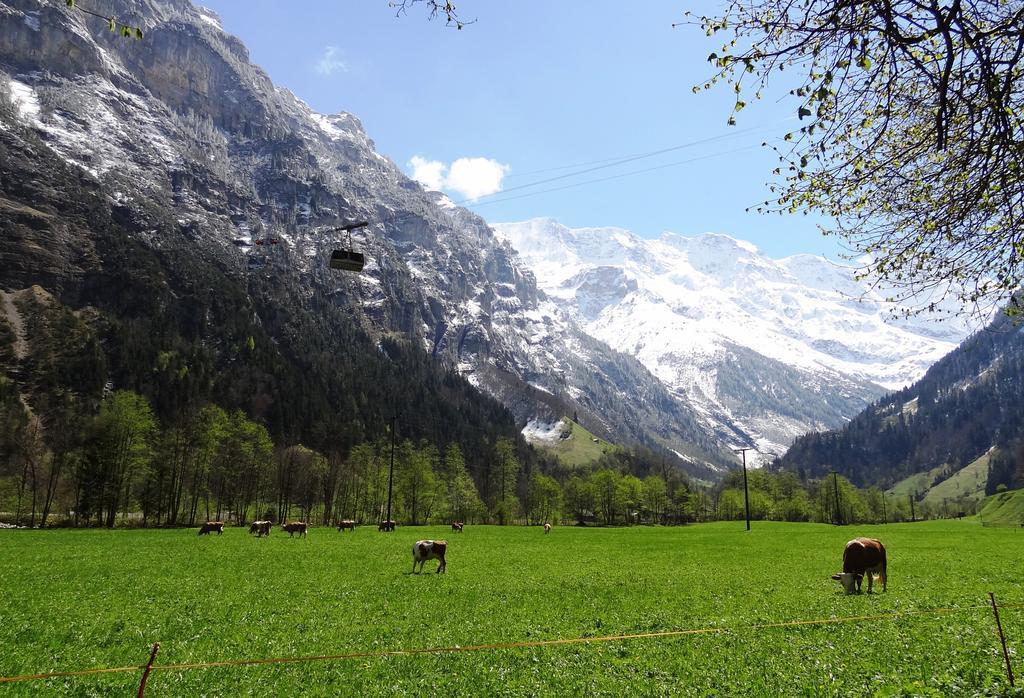 Base Cafe Daire Lauterbrunnen Dış mekan fotoğraf